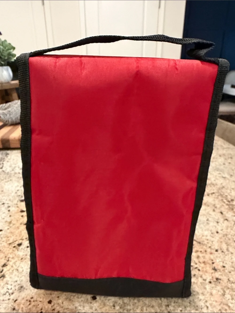 Florida State Seminoles Red Insulated Lunch Bag - Go Noles!